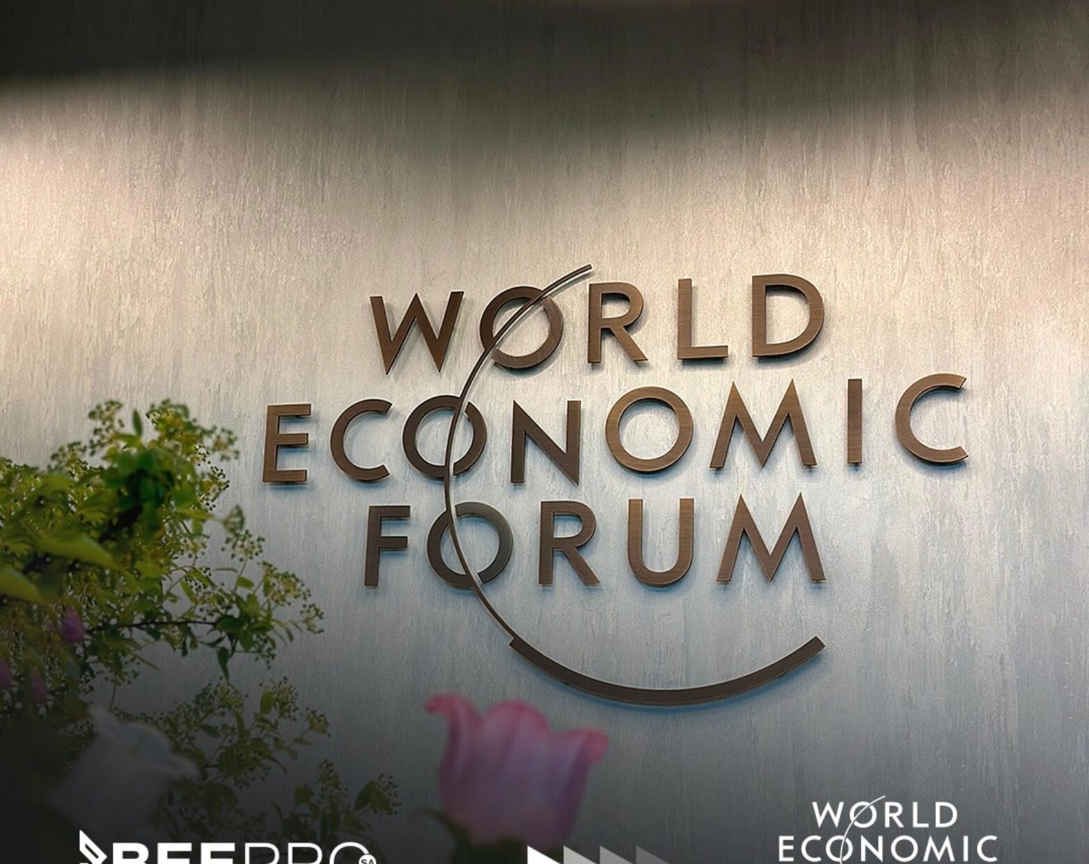 WEF